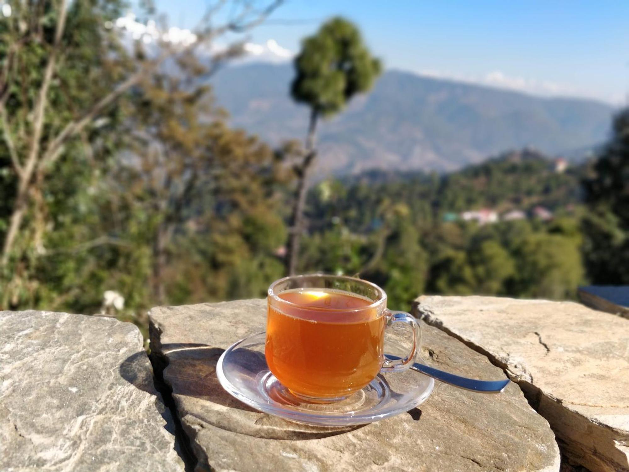 Meraki - Entire 3BHK Villa With Himalayan Views Ranikhet Bagian luar foto